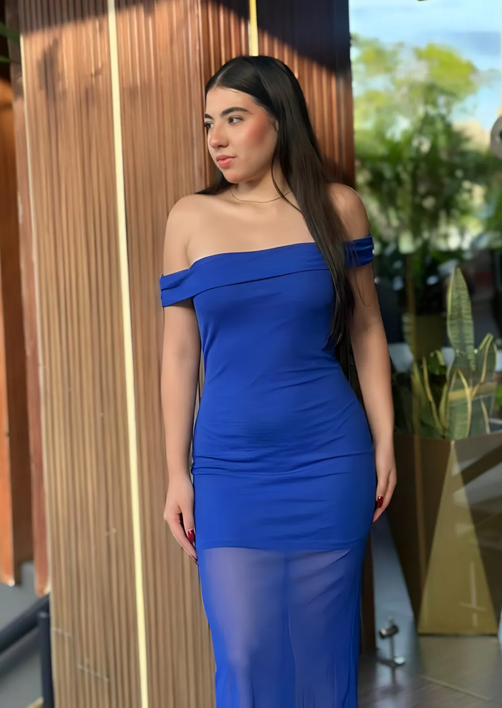 Vestido Largo Luxu